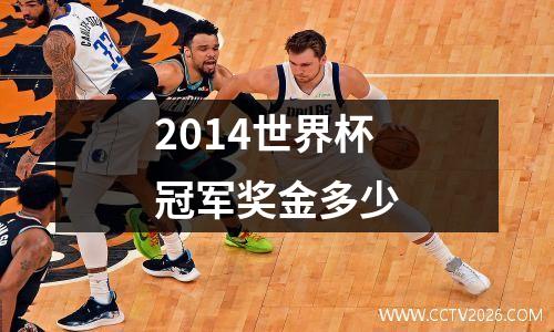 2014世界杯冠军奖金多少