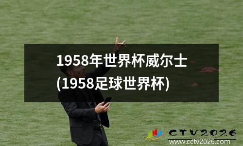 1958年世界杯威尔士(1958足球世界杯)