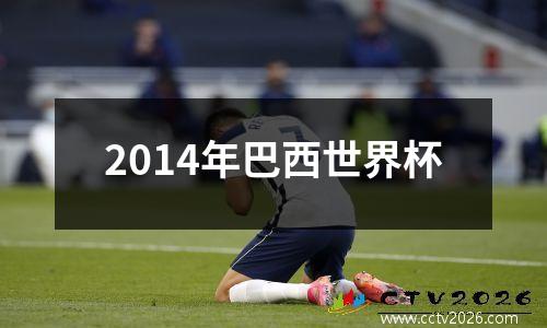 2014年巴西世界杯