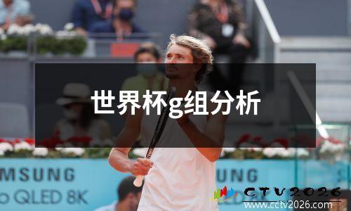 世界杯g组分析