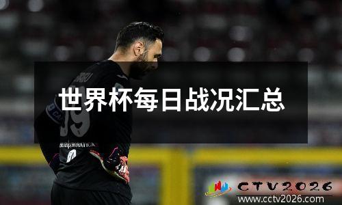世界杯每日战况汇总