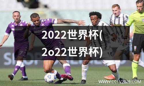 2022世界杯(2o22世界杯)