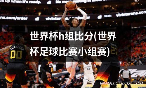 世界杯h组比分(世界杯足球比赛小组赛)