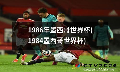 1986年墨西哥世界杯(1984墨西哥世界杯)
