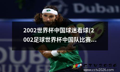 2002世界杯中国球迷看球(2002足球世界杯中国队比赛视频)