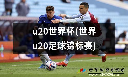 u20世界杯(世界u20足球锦标赛)