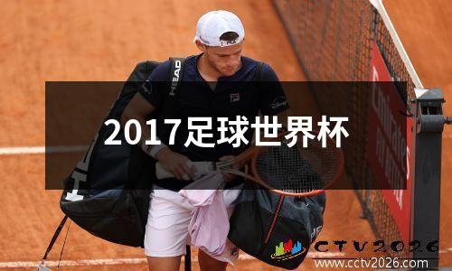2017足球世界杯