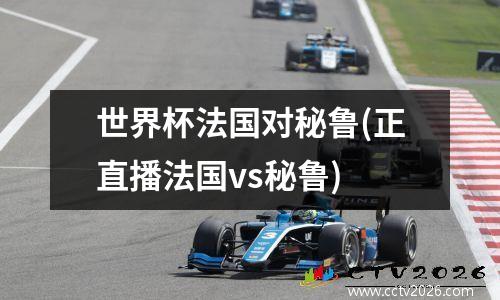 世界杯法国对秘鲁(正直播法国vs秘鲁)