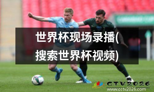 世界杯现场录播(搜索世界杯视频)