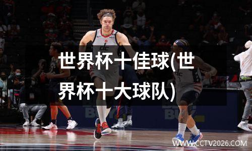 世界杯十佳球(世界杯十大球队)