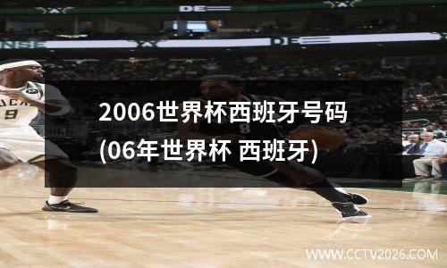 2006世界杯西班牙号码(06年世界杯 西班牙)