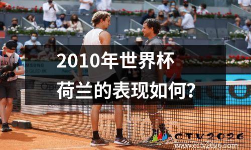 2010年世界杯荷兰的表现如何？