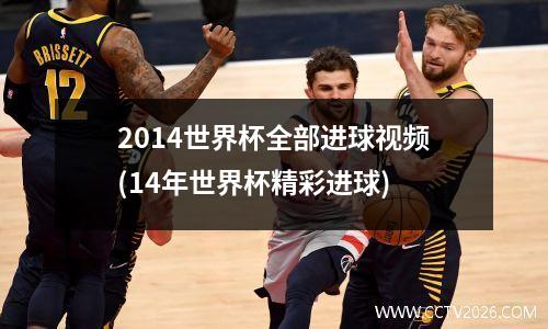 2014世界杯全部进球视频(14年世界杯精彩进球)