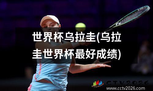 世界杯乌拉圭(乌拉圭世界杯最好成绩)
