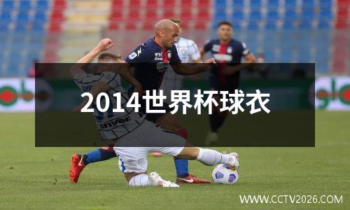 2014世界杯球衣