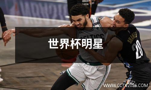 世界杯明星