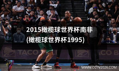 2015橄榄球世界杯南非(橄榄球世界杯1995)