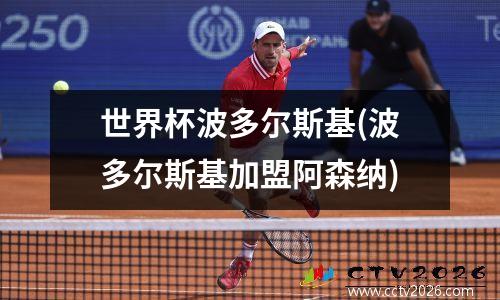 世界杯波多尔斯基(波多尔斯基加盟阿森纳)