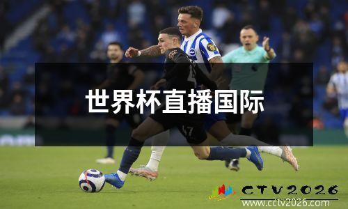 世界杯直播国际