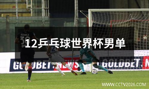 12乒乓球世界杯男单