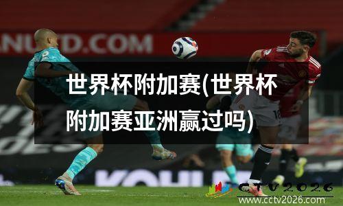 世界杯附加赛(世界杯附加赛亚洲赢过吗)