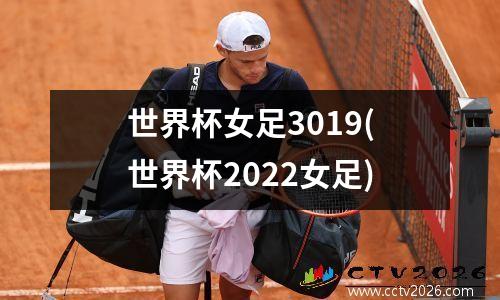 世界杯女足3019(世界杯2022女足)