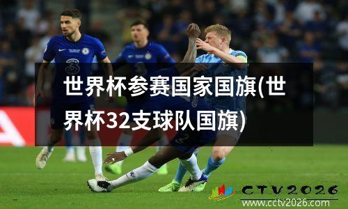世界杯参赛国家国旗(世界杯32支球队国旗)