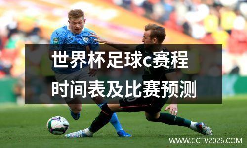 世界杯足球c赛程时间表及比赛预测