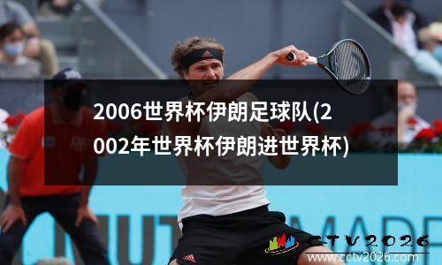 2006世界杯伊朗足球队(2002年世界杯伊朗进世界杯)