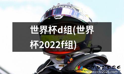 世界杯d组(世界杯2022f组)