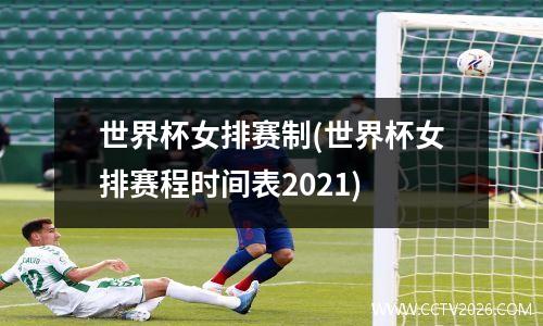 世界杯女排赛制(世界杯女排赛程时间表2021)
