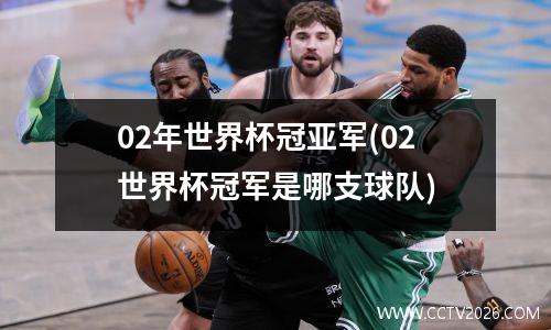 02年世界杯冠亚军(02世界杯冠军是哪支球队)
