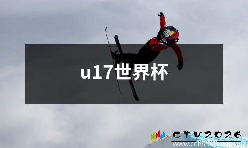 u17世界杯