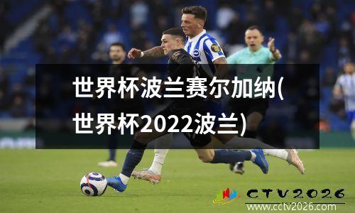 世界杯波兰赛尔加纳(世界杯2022波兰)