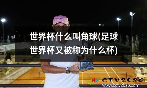 世界杯什么叫角球(足球世界杯又被称为什么杯)