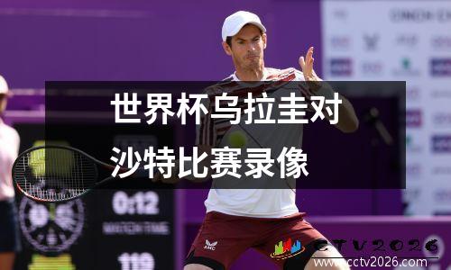 世界杯乌拉圭对沙特比赛录像