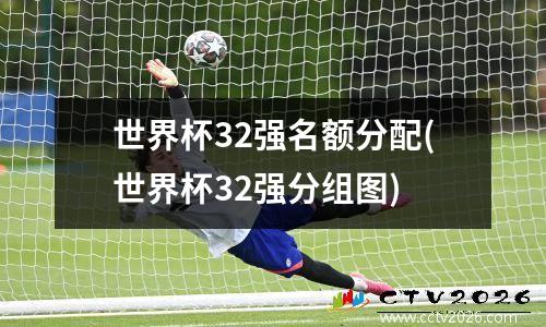 世界杯32强名额分配(世界杯32强分组图)