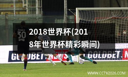2018世界杯(2018年世界杯精彩瞬间)