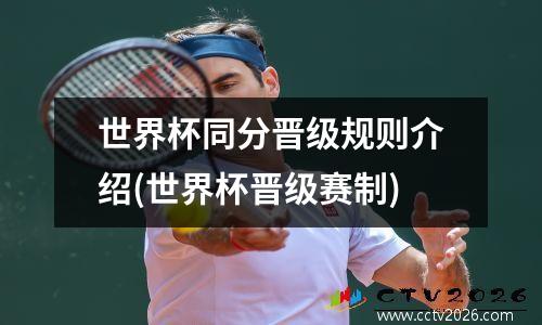 世界杯同分晋级规则介绍(世界杯晋级赛制)