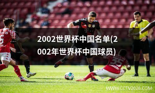 2002世界杯中国名单(2002年世界杯中国球员)