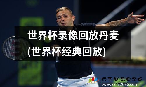 世界杯录像回放丹麦(世界杯经典回放)