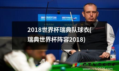 2018世界杯瑞典队球衣(瑞典世界杯阵容2018)