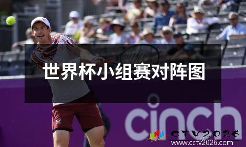 世界杯小组赛对阵图