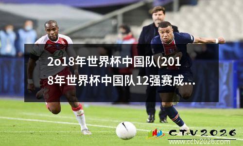 2o18年世界杯中国队(2018年世界杯中国队12强赛成绩)