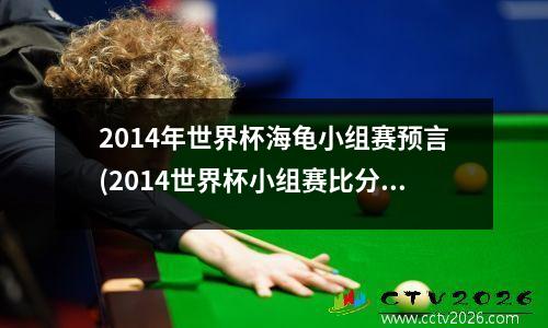 2014年世界杯海龟小组赛预言(2014世界杯小组赛比分结果)