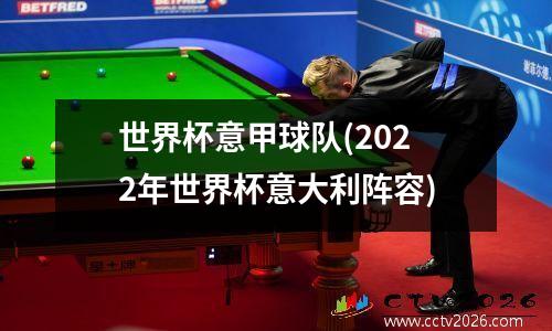世界杯意甲球队(2022年世界杯意大利阵容)