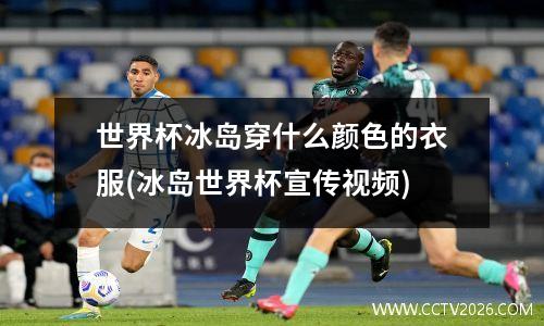 世界杯冰岛穿什么颜色的衣服(冰岛世界杯宣传视频)