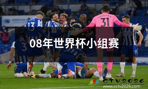 08年世界杯小组赛