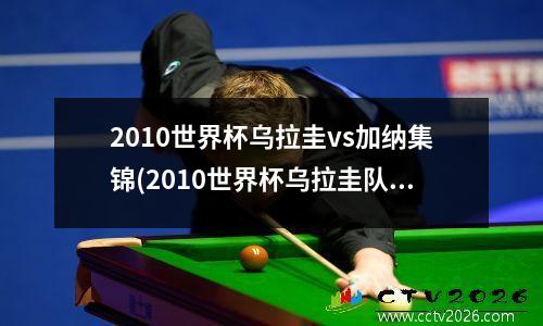 2010世界杯乌拉圭vs加纳集锦(2010世界杯乌拉圭队)