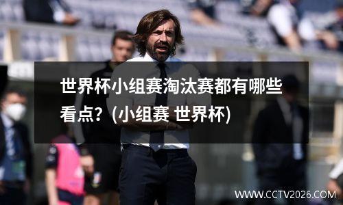 世界杯小组赛淘汰赛都有哪些看点？(小组赛 世界杯)